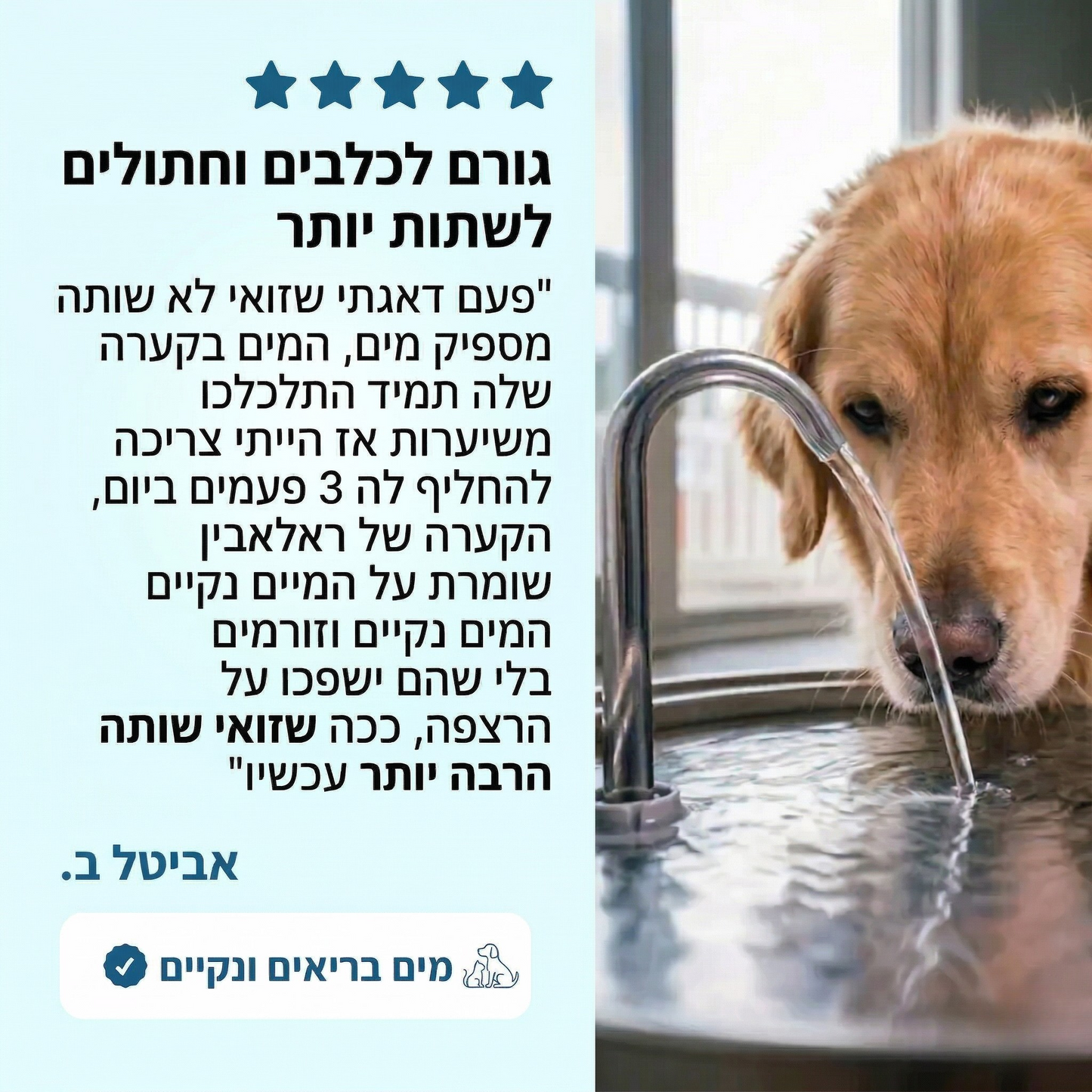 Ralavin - קערת מים מפלדה עם סינון נגד חיידקים