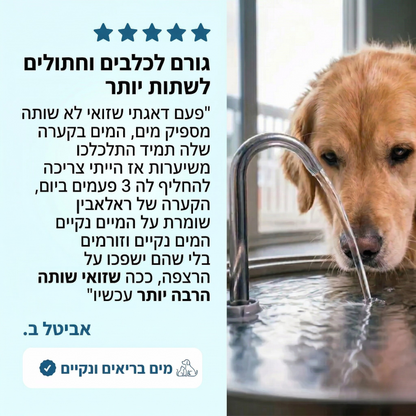 Ralavin - קערת מים מפלדה עם סינון נגד חיידקים